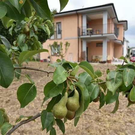 Natour L'Ostello Per I Camminatori Баришано Екстер'єр фото