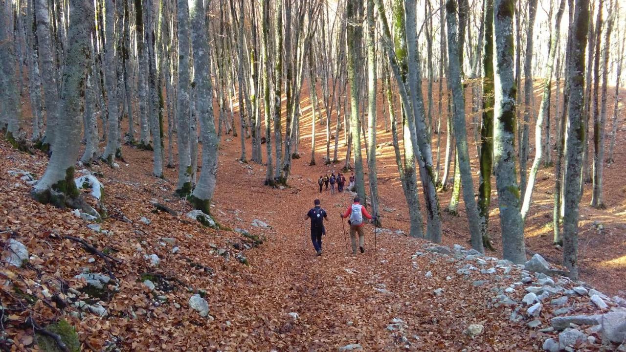 Natour L'Ostello Per I Camminatori Баришано Екстер'єр фото